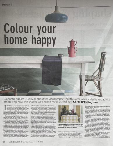 Irish Examiner Sinead Cassidy Design on Colour
