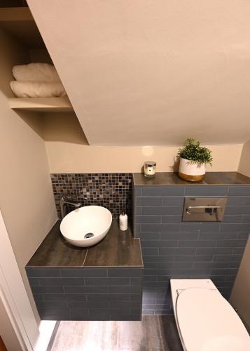 Guest bathroom design with countertop basin